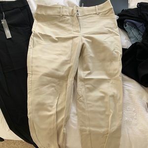 Loft pants